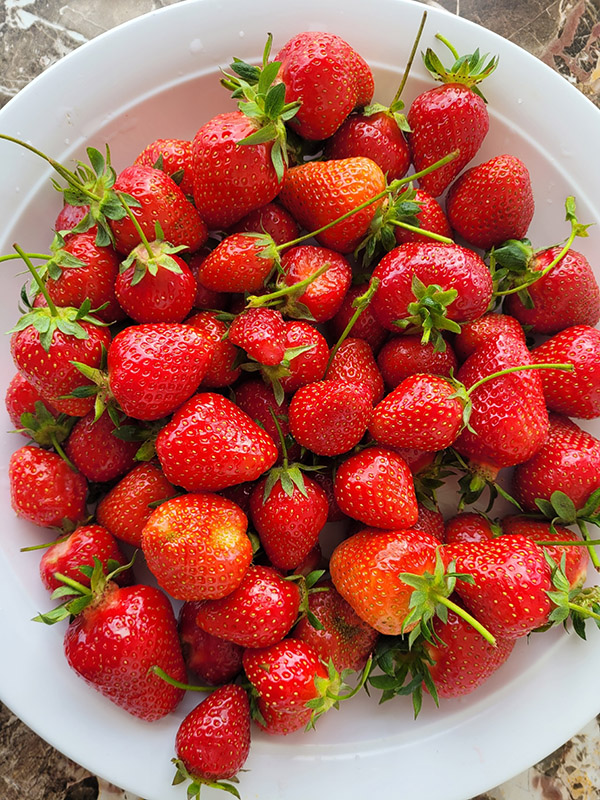 Фрукты в Крыму в июне месяце 